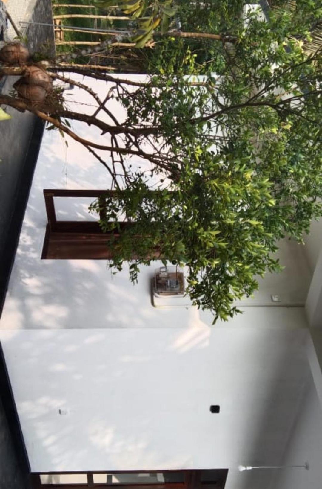Villa Elegant - Weligama Zewnętrze zdjęcie